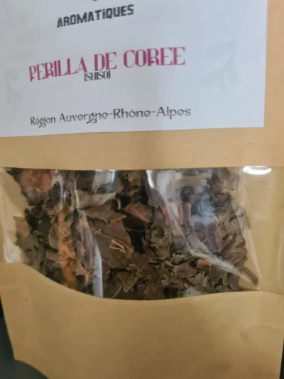 Périlla de Corée - Shiso – Image 3