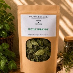 Menthe Marocaine