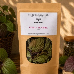 Périlla de Corée – Shiso