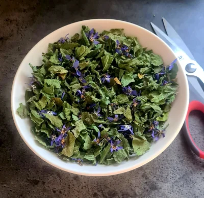 Il s'agit d'une assiette où on aperçoit les feuilles et fleurs de bourrache séchées prêtes à être mise en sachet pour une dégustation gourmande
