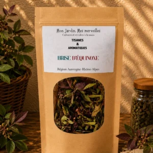 Brise d’Équinoxe
