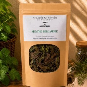 Menthe bergamote